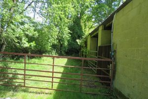 Photo 4- click for photo gallery